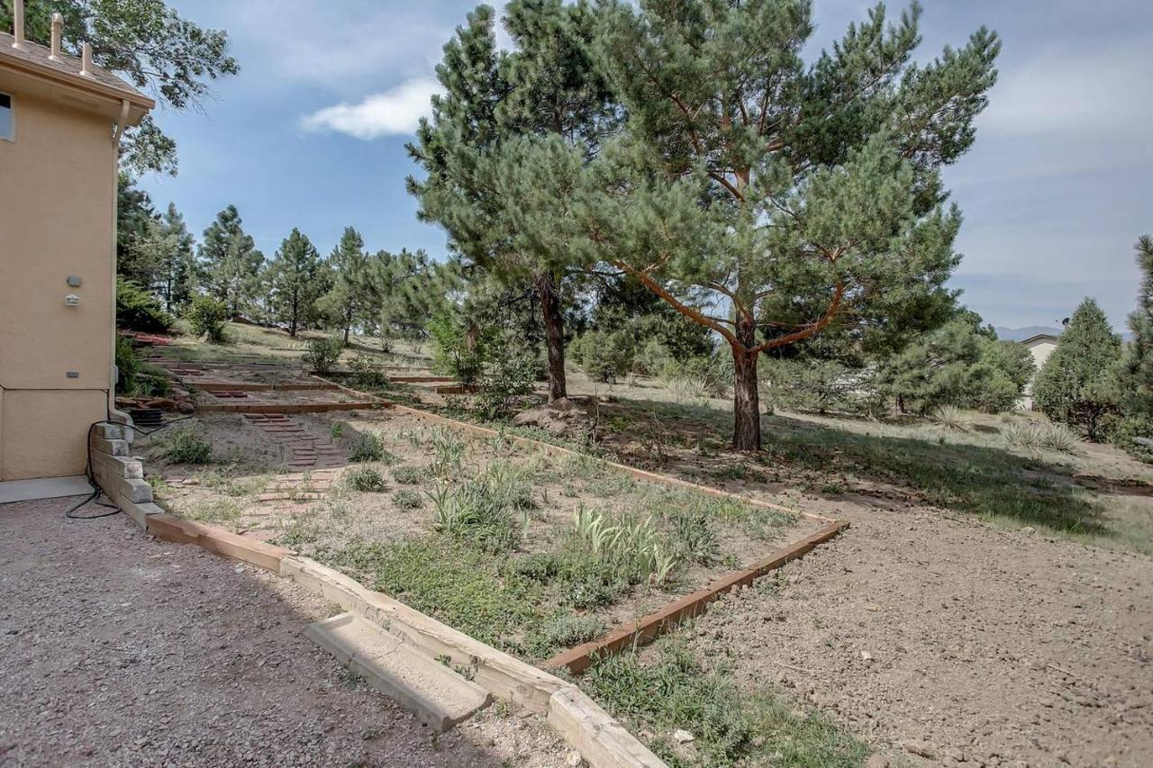 Bright & Cozy Studio Apartment In Colorado Springs Exteriör bild